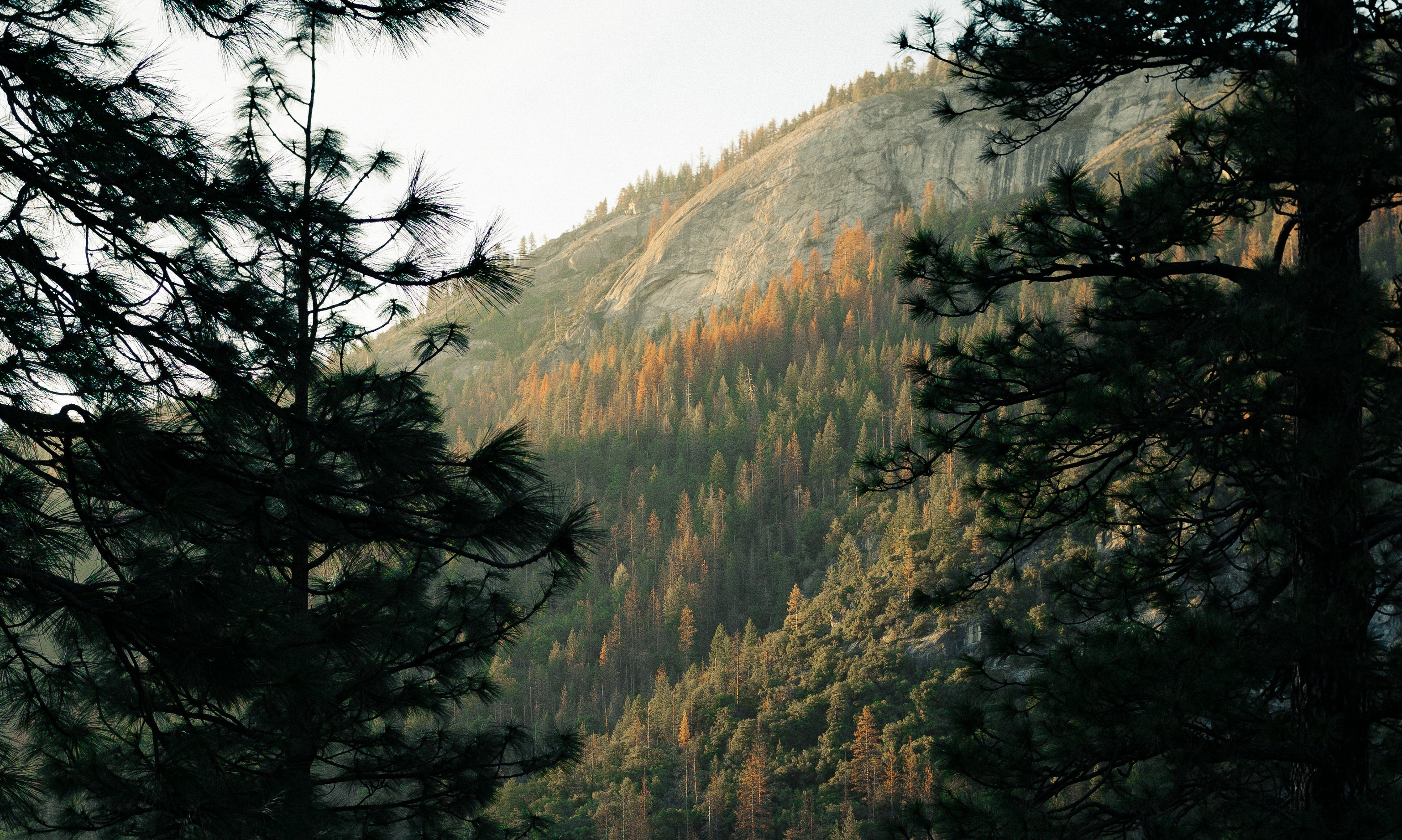 Image de diapositive